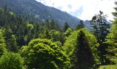 Percorso Marcia Cauterets - La Raillère au refuge de la Fruitière par le Vallon de Lutour - Photo 3