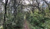 Tour Wandern Nîmes - NÎMES. Petite boucle sur les Hauts de Nîmes - Photo 1