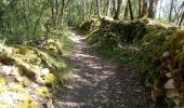 Trail Walking Saint-Chamassy - St Chamassy 19,5km - Photo 4