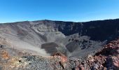 Trail Walking Sainte-Rose - Piton de la Fournaise (cratère Dolomieu) - Piton Partage - Photo 6