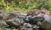Trail Trail Petit-Bourg - INRA  - Photo 2