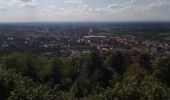 Tour Zu Fuß Unbekannt - Grünberg - Rittnerthof - Photo 10