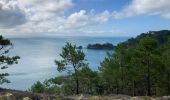 Trail Walking Crozon - Étape 5/6 du tour de Crozon (boucle à partir de St-Hernot) - Photo 2