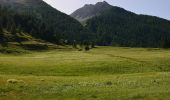 Excursión Senderismo Abriès-Ristolas - L'Échalp - Lacs Égorgéou et Baricle - Photo 10