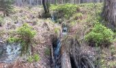 Trail Walking Jalhay - boucle autour des ruisseaux le louba et la gileppe  - Photo 12