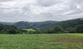 Tour Wandern Manhay - rando deux rys 29/06/2020 - Photo 15