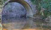 Tour Wandern Tanneron - Tanneron par Les Farinas - Photo 13