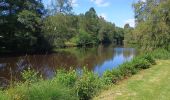 Trail Walking Forges-les-Eaux - Forges les Eaux.Vers la fontaine de la Chevrette  - Photo 6