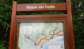 Randonnée Marche Oissel - 20200623-Oissel et le Petit Essart - Photo 4