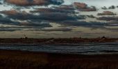Trail On foot Texel - De Geul - Photo 10