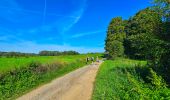 Trail Walking Philippeville - Balade de Villers-le-Gambon à Franchimont - Photo 9