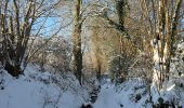 Trail Walking Soumagne - ❄️⛄️ Soiron - Photo 16