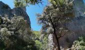 Tour Wandern Méounes-lès-Montrieux - les aiguilles de valbelle  - Photo 5