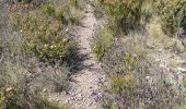 Trail Walking Fréjus - Depuis la Louve en boucle - Photo 20