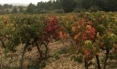 Percorso Marcia Bages - Prat-de-Cest - Abbaye de Fontfroide - Photo 3