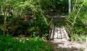 Tour Wandern Le Castellard-Mélan - Sentier de découverte du Col de Fontbelle - Photo 8