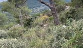 Trail Walking La Valette-du-Var - Baudouin pierre - Photo 2