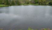 Tour Wandern Sentheim - Sentheim Grambaechle - Photo 5