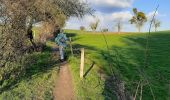 Tocht Stappen Dinant - Les cascatelles au départ de Falmignoul - Photo 1