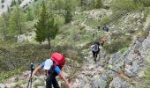 Tocht Stappen Saint-Étienne-de-Tinée - Lacs de Vens depuis RD - Photo 14