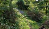 Randonnée Marche Bort-les-Orgues - Chute de la Saule - Photo 3