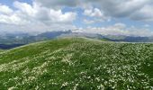 Trail On foot Beuil - Corniches du Cians - Photo 2