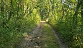 Trail Walking Brières-les-Scellés - Brières-les-Scellés - Photo 5