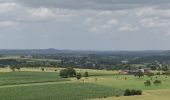 Tour Wandern Blegny - 20230703 - Blegny-Mine 6.8 Km - Photo 16