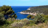 Randonnée Marche Bandol - Tour du golf de la frégate (Version Courte) - Photo 6