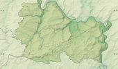 Tour Zu Fuß Echternach - Autopédestre Echternach 1 - Photo 1