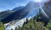 Tocht Stappen Chamonix-Mont-Blanc - La Jonction - Photo 7