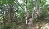 Trail Walking Jalhay - adeps sart 20 km bug - Photo 17