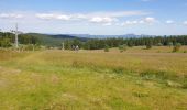 Tour Wandern Schönenberg - Champ du feu - Col de la Charbonnière - Belmont  - Photo 9