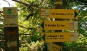 Trail Walking Saint-Martial - Tour des sucs :Sepoux-Seponet-Sommet Lauziére-Taupernas - Photo 2