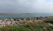 Tour Wandern Pleumeur-Bodou - île grande - Photo 12