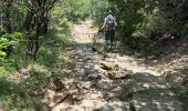 Trail  Saint-Privat - Grand mont Soumont Le Bosc  - Photo 11