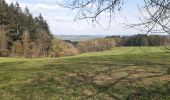 Randonnée Marche Theux - hodbomont . vieux cortil . jevoumont . hodbomont  - Photo 6