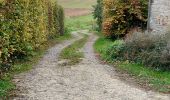 Trail Walking Mettet - Mettet 141122 - Photo 1