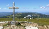 Trail On foot Gemeinde Spital am Semmering - Wanderweg 5 - Photo 6