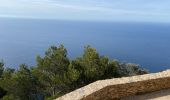 Tour Wandern Six-Fours les Plages - Sentier du littoral  - Photo 5