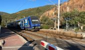 Excursión Senderismo Saint-Raphaël - Cap Roux par l'Est depuis la gare du Trayas - Photo 1