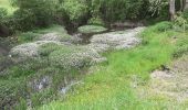 Tour Wandern Montignac-Charente - La rando de Puyssanganou entre Montignac et saint Amand de Boixe - Photo 3