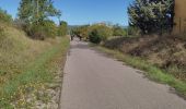 Excursión Cicloturismo Vogüé - Vogüé Vignobles et un Dolmen  - Photo 1