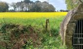 Trail Walking Sarzeau - PR_56_Sarzeau_HA_08_Les-Parcs-Ostreicoles_Circuit1b_20240407 - Photo 4