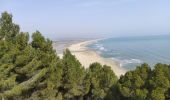 Randonnée Marche Leucate - Leucate: Falaises, Village et Chateau, Etang - Photo 1