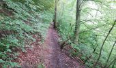 Trail Walking Waimes - Robert ville, Warche - Photo 20