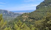 Randonnée Marche Évenos - Toulon Col du corps de garde Mont Caume - Photo 13