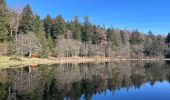 Tour Wandern Girmont-Val-d'Ajol - Les étangs de Girmont et le prieuré d’Herival - Photo 11