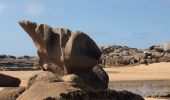 Randonnée Marche Perros-Guirec - Bretagne - Ploumanac’h-Tregastel  par la côte de Granit Rose - Photo 15