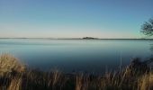 Excursión Senderismo Villeneuve-lès-Maguelone - Villeneuve les Salins - Photo 6